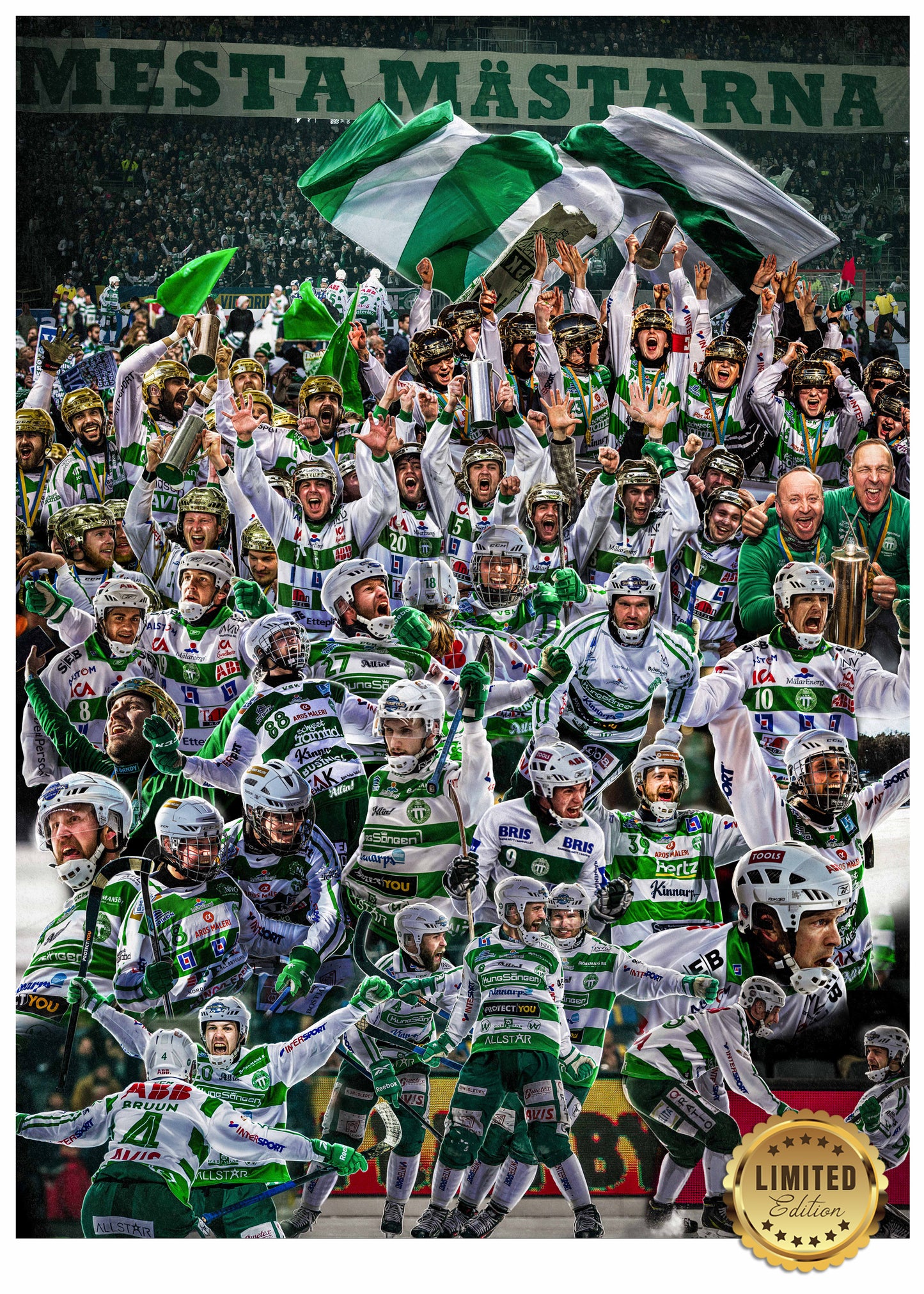 VSK Bandy – Mesta Mästarna